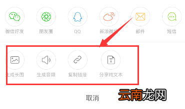 讯飞语记导出内容的操作过程