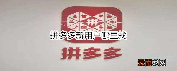 拼多多新用户哪里找