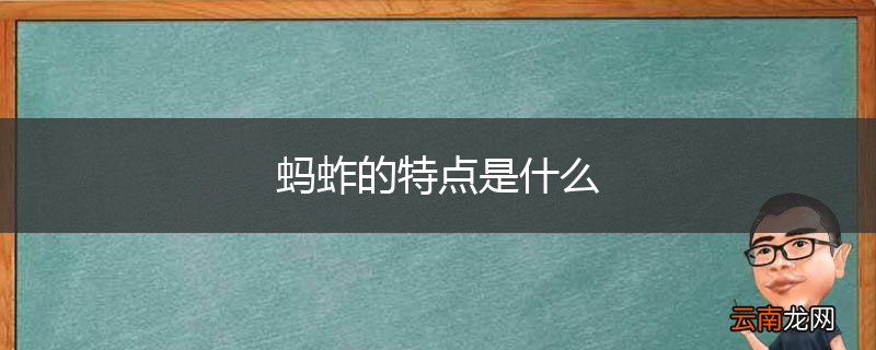 蚂蚱的特点是什么