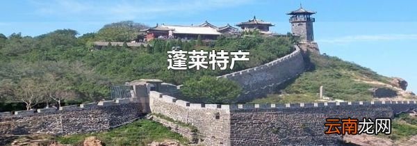 蓬莱特产