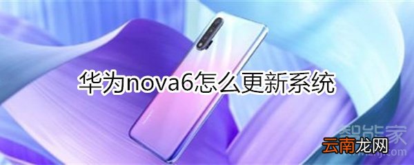 华为nova6怎么更新系统