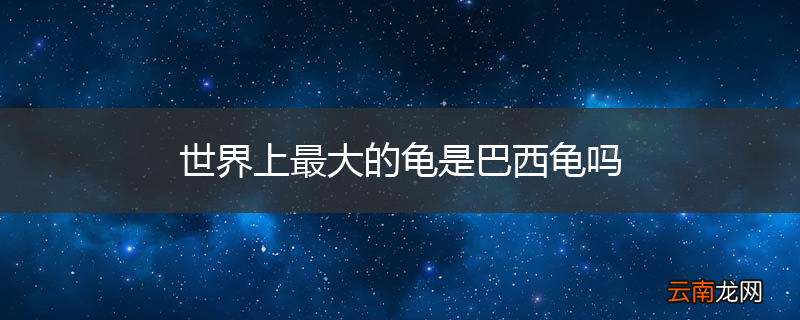 世界上最大的龟是巴西龟吗