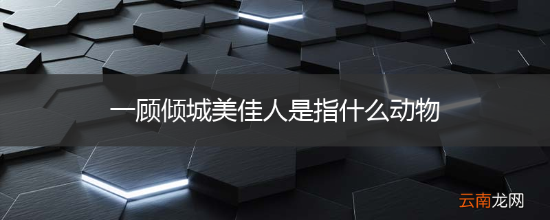 一顾倾城美佳人是指什么动物