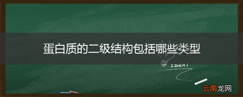 蛋白质的二级结构包括哪些类型
