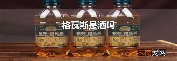 格瓦斯是酒吗