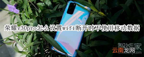 荣耀v30pro怎么设置wifi断开时不使用移动数据