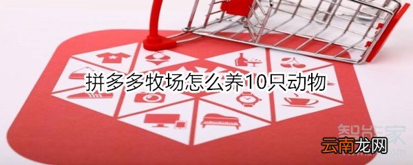 拼多多牧场怎么养10只动物