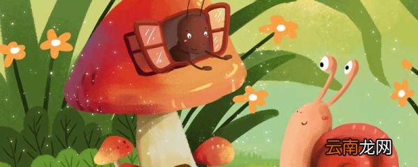 昆虫记主要人物及性格特点 昆虫记主要人物及性格特点分析 昆虫记主要人物及性格特点和主要内容