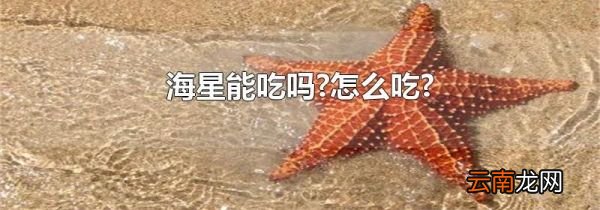 海星能吃吗?怎么吃?