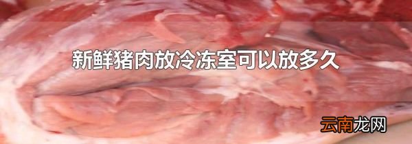 新鲜猪肉放冷冻室可以放多久