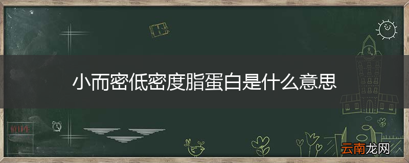 小而密低密度脂蛋白是什么意思