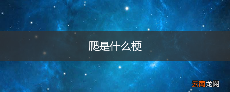 爬是什么梗