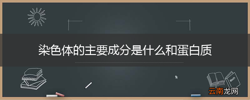 染色体的主要成分是什么和蛋白质