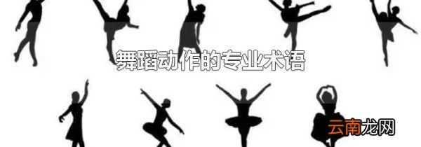 舞蹈动作的专业术语