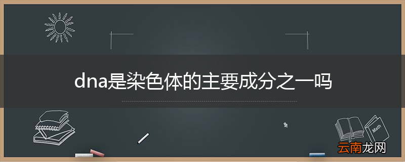 dna是染色体的主要成分之一吗