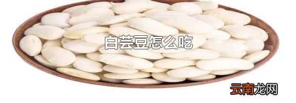 白芸豆怎么吃