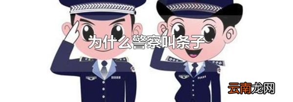 为什么警察叫条子