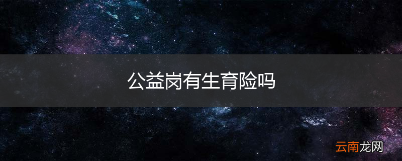 公益岗有生育险吗