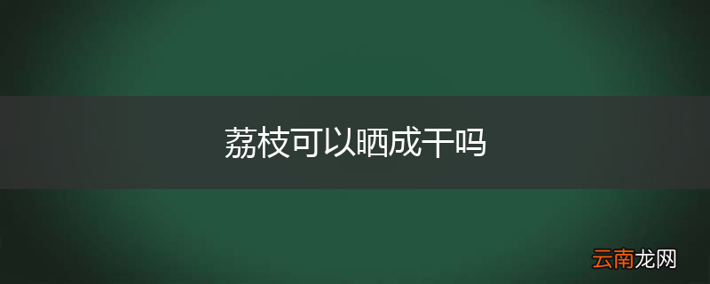 荔枝可以晒成干吗