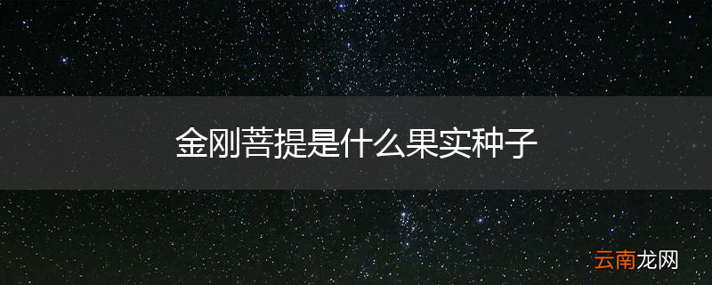 金刚菩提是什么果实种子