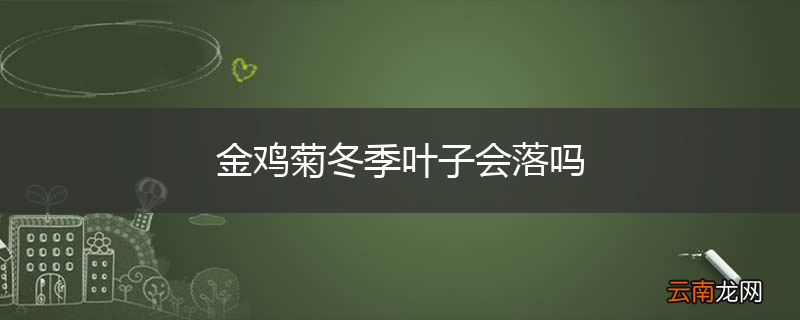 金鸡菊冬季叶子会落吗