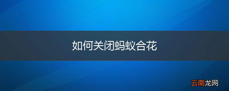 如何关闭蚂蚁合花