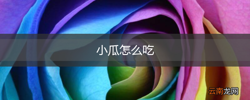 小瓜怎么吃