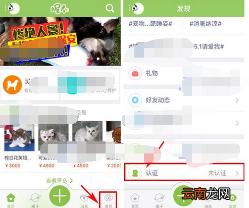 握爪宠物申请认证的简单操作