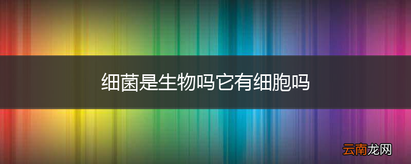 细菌是生物吗它有细胞吗