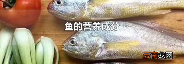 鱼的营养成分