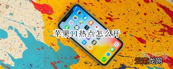 苹果11热点怎么开