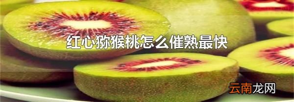 红心猕猴桃怎么催熟最快