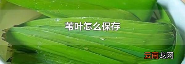 苇叶怎么保存
