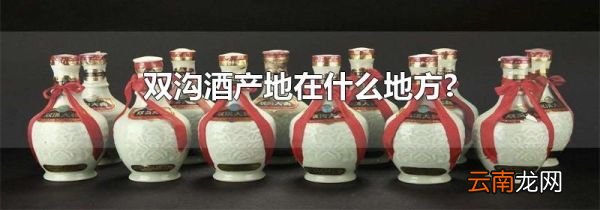 双沟酒产地在什么地方?