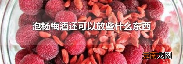 泡杨梅酒还可以放些什么东西