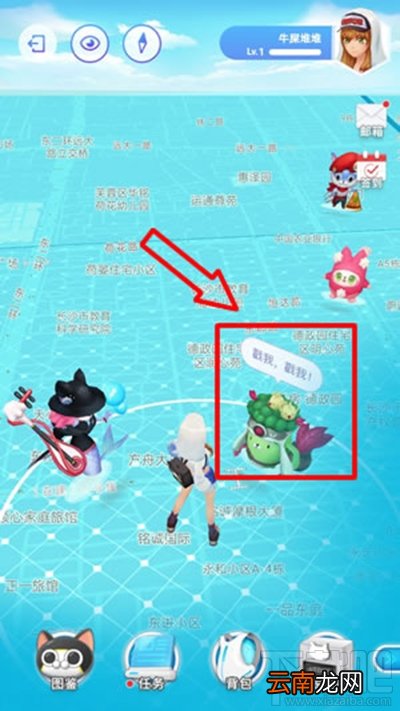 淘宝怎么玩捉猫猫玩法
