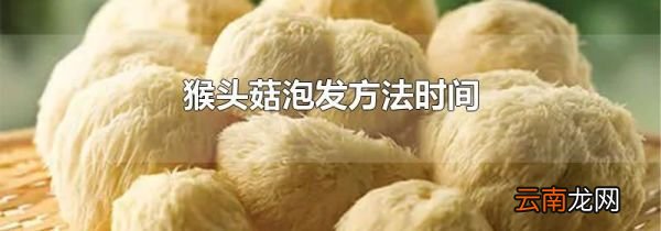 猴头菇泡发方法时间