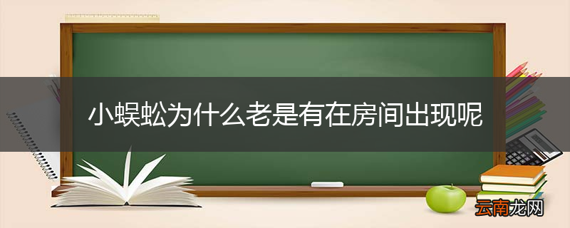 小蜈蚣为什么老是有在房间出现呢