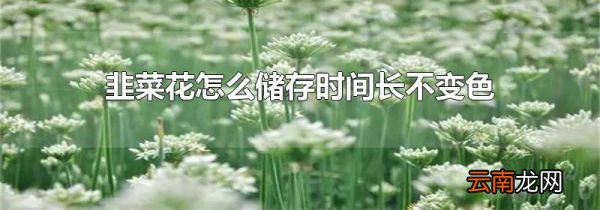 韭菜花怎么储存时间长不变色