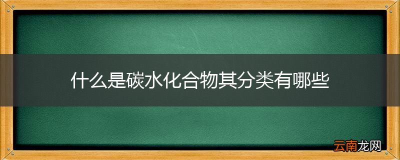 什么是碳水化合物其分类有哪些