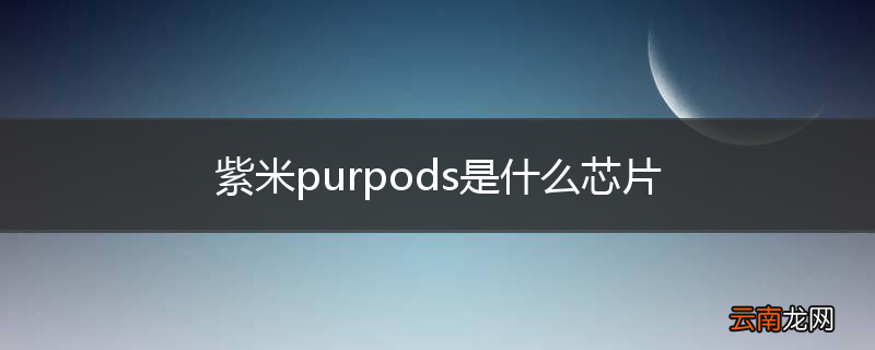 紫米purpods是什么芯片