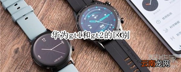 华为gt1和gt2的区别