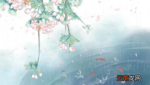 春晓描写了哪些景物 春晓这首诗描写的景物有什么