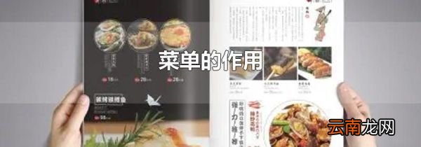 菜单的作用