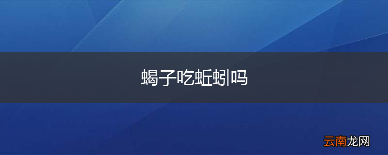 蝎子吃蚯蚓吗