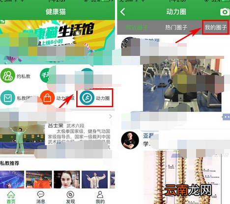 健康猫将动态删掉的操作流程