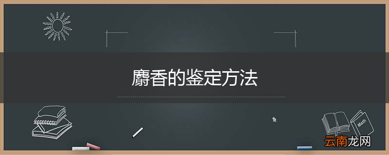 麝香的鉴定方法