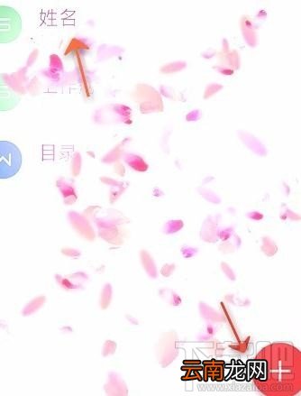 手机wps怎么设置表格自动换行