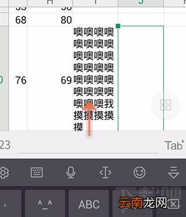 手机wps怎么设置表格自动换行