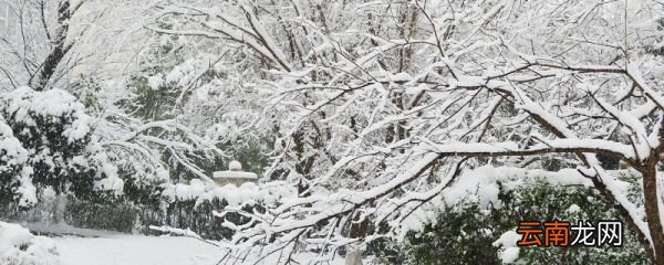 初雪发朋友圈句子 冬季第一场雪朋友圈文案